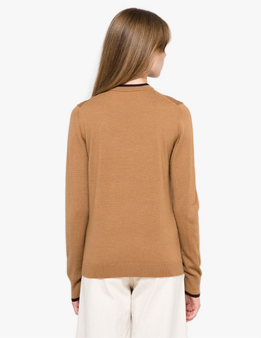 Zenmuse X5 Gimbal And Camera